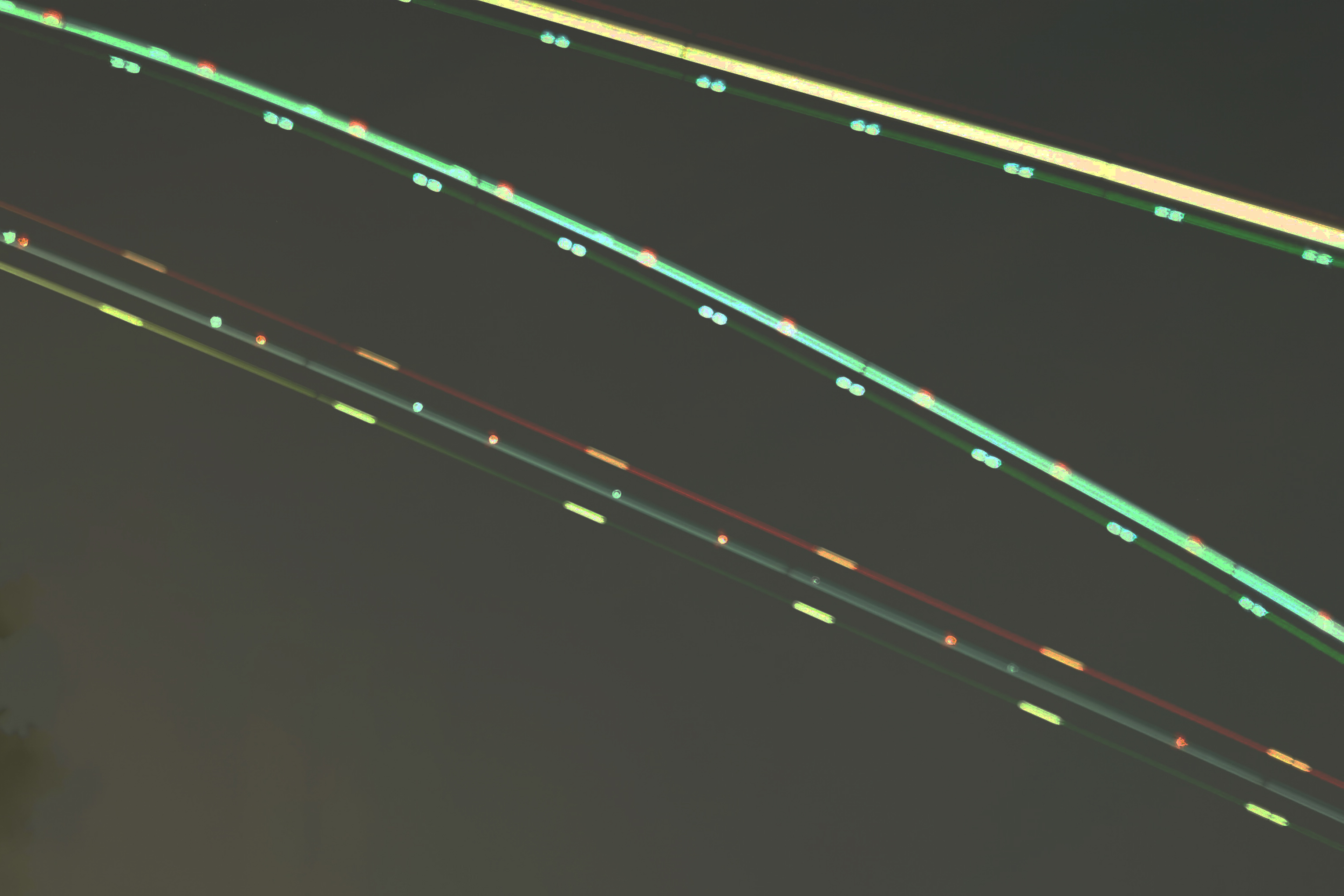 Light Painting