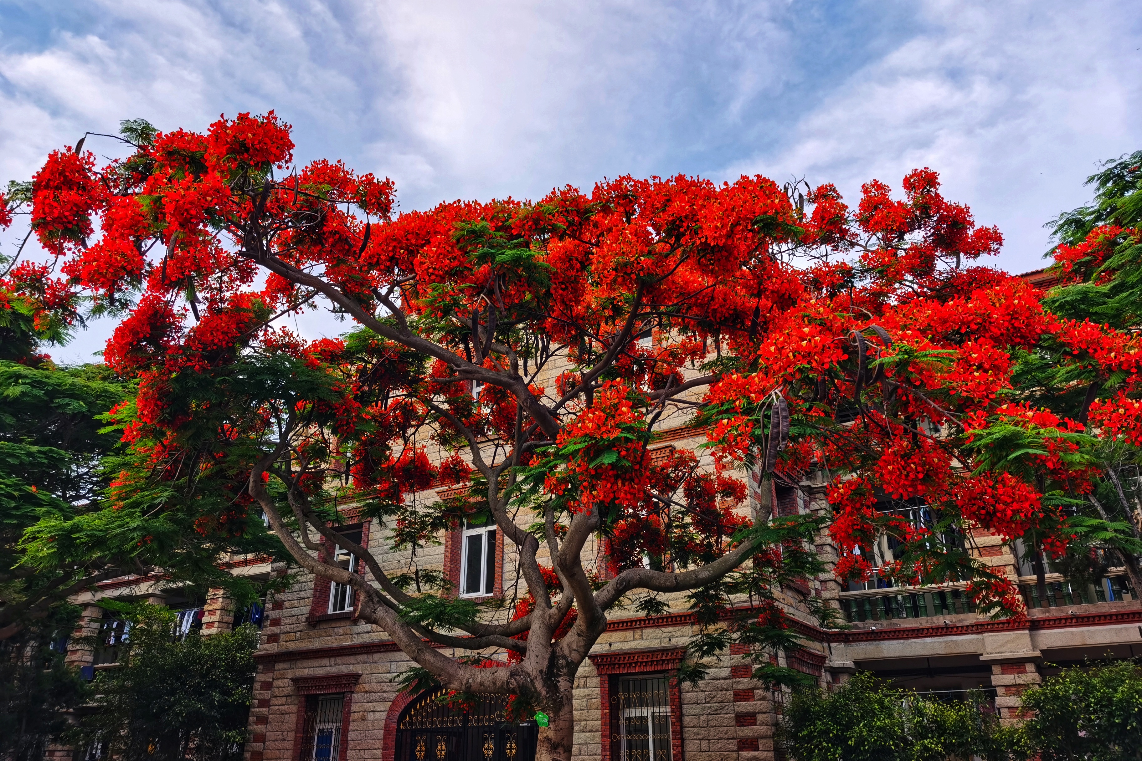 Xiamen University